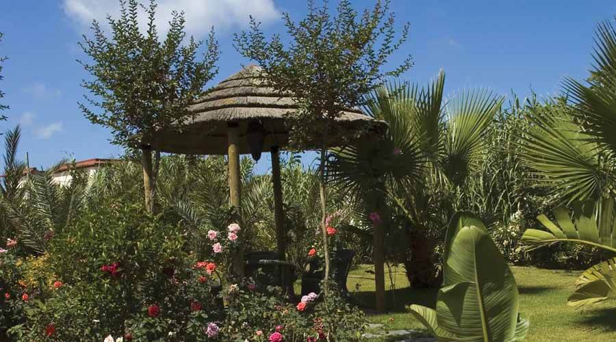 Giardino