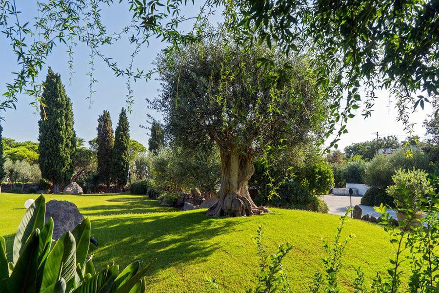 Giardino Esterno